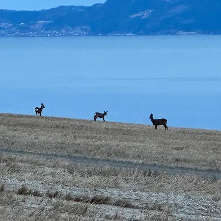 Unique With Amazing Views! Daire *